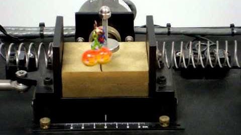 Variable and Adaptive Gain Super-Twisting Sliding Mode Control