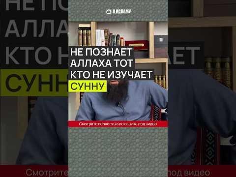 Не познает Аллаха тот, кто не изучает Коран и Сунну #Shorts Ринат Абу Мухаммад