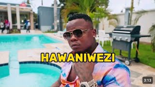 Harmonize - Hawaniwezi (official lyrics video)