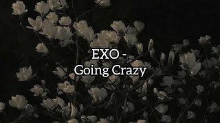 EXO - Going Crazy [tradução]