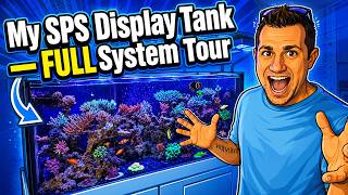 My SPS Display Tank — Full System Tour