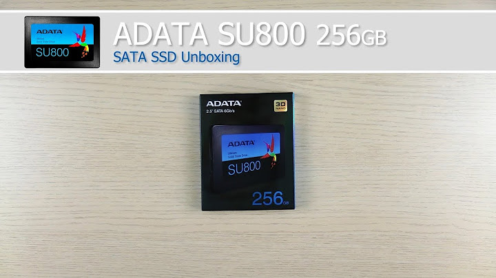 Đánh giá ổ cứng ssd adata su800 năm 2024