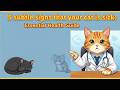 5 subtle signs that your cat is sick essential health guide