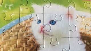 Cats Puzzle - a beautiful white cat sitting in a straw hat | puzzles for you screenshot 5
