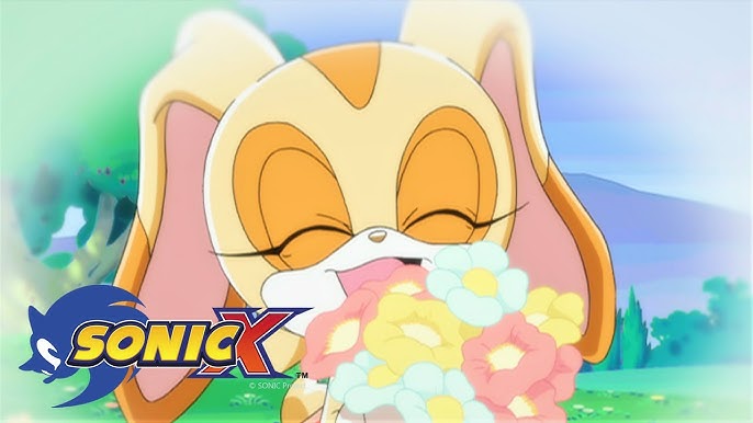 OFFICIAL] SONIC X Ep2 - Sonic to the Rescue 