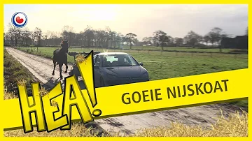 HEA! Goeie Nijskoat