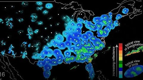 Tracking Bird Migration with Weather Technology