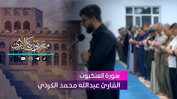 تلاوة لا توصف تقشعر لها الأبدان بصوت عبدالله محمد  ♡ مزمار من مزامير داوود HD جميع تلاوات