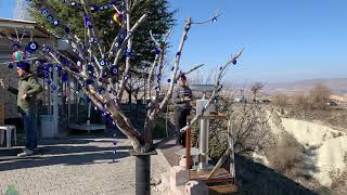 20190212-5土耳其格雷梅 Paşabağı,zelve 菇菇谷