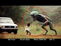 【衝撃】野外探検で身の毛もよだつ光景に遭遇！カメラが捉えた謎の怪奇現象！#ランキング #ミステリー #心霊現象