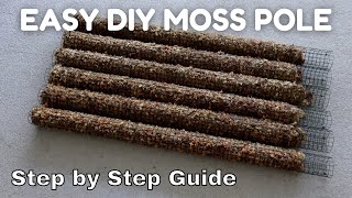 EASY DIY Sphagnum Moss Pole using Hardware Cloth | Step by Step Updated Tutorial