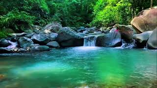 Streamside Tranquility – Menoreh Nature Sounds for Inner Balance