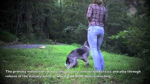 Clicker Retrieve Part I