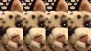 Webkinz Music Video - Campfire Song Song