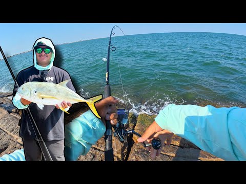 How Many Types Of Jack Fish Are There