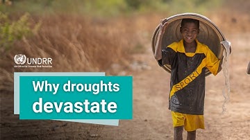 The hidden impacts of drought you need to know | GAR 2021 | UNDRR