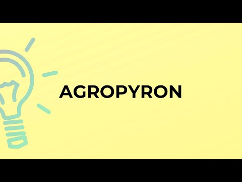 Vídeo: Qual é o significado de agropyron repens?