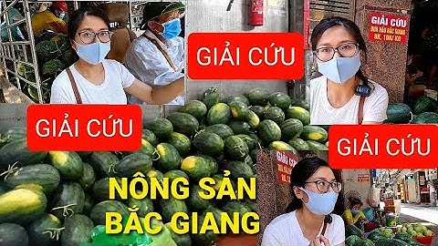 Người dân thủ đô chung tay hỗ trợ tiêu thụ nông sản Bắc Giang/ Giải cứu nông sản vùng dịch