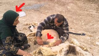 Nomadic Life by Zarigol and Mohammad