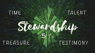 A Reflection on Stewardship