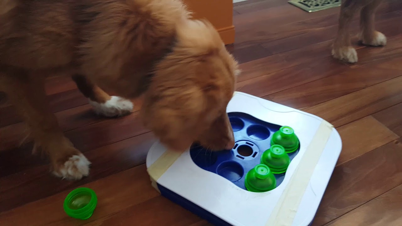 Deep Freeze Entertainment