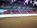 Fort Worth Stock Show Dog Trials 2/4/12 - Video 3