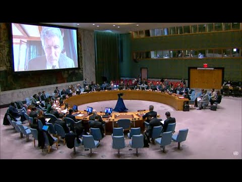 Full UN SC Meeting on Ukraine inc. Roger Waters speech