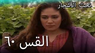 60 سنوات الضياع