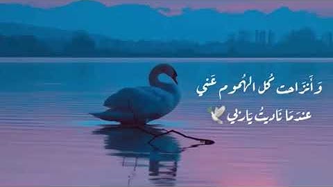 عندما تشعُر بالوحده القران الكريم هو افضل صديق لتكون معهُ🕊