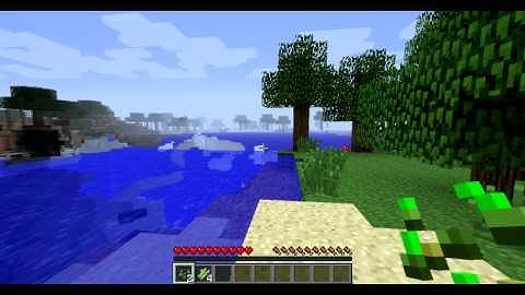 MC Render Bug (Old video)