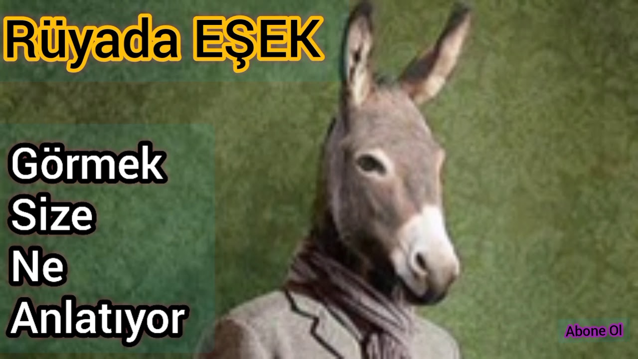 Rüyada Eşek Görmek ne anlama gelir. / Rüya Tabirleri - YouTube