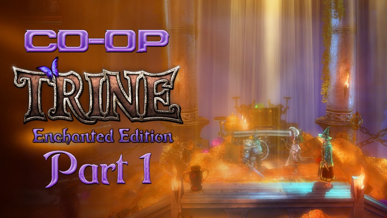Co-Op: Trine: Enchanted Edition