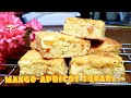 MANGO-APRICOT SQUARES