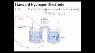 Ch 14 - 1 - Standard Hydrogen Electrode (SHE)