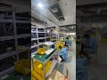 Wire Harness Factory: Real Shots