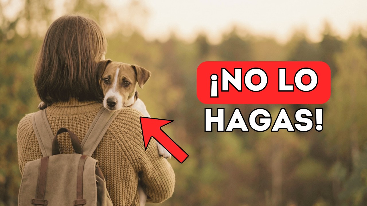 22 Cosas que tu Perro ODIA de los Humanos (La #15 es un error que CASI TODOS cometemos)