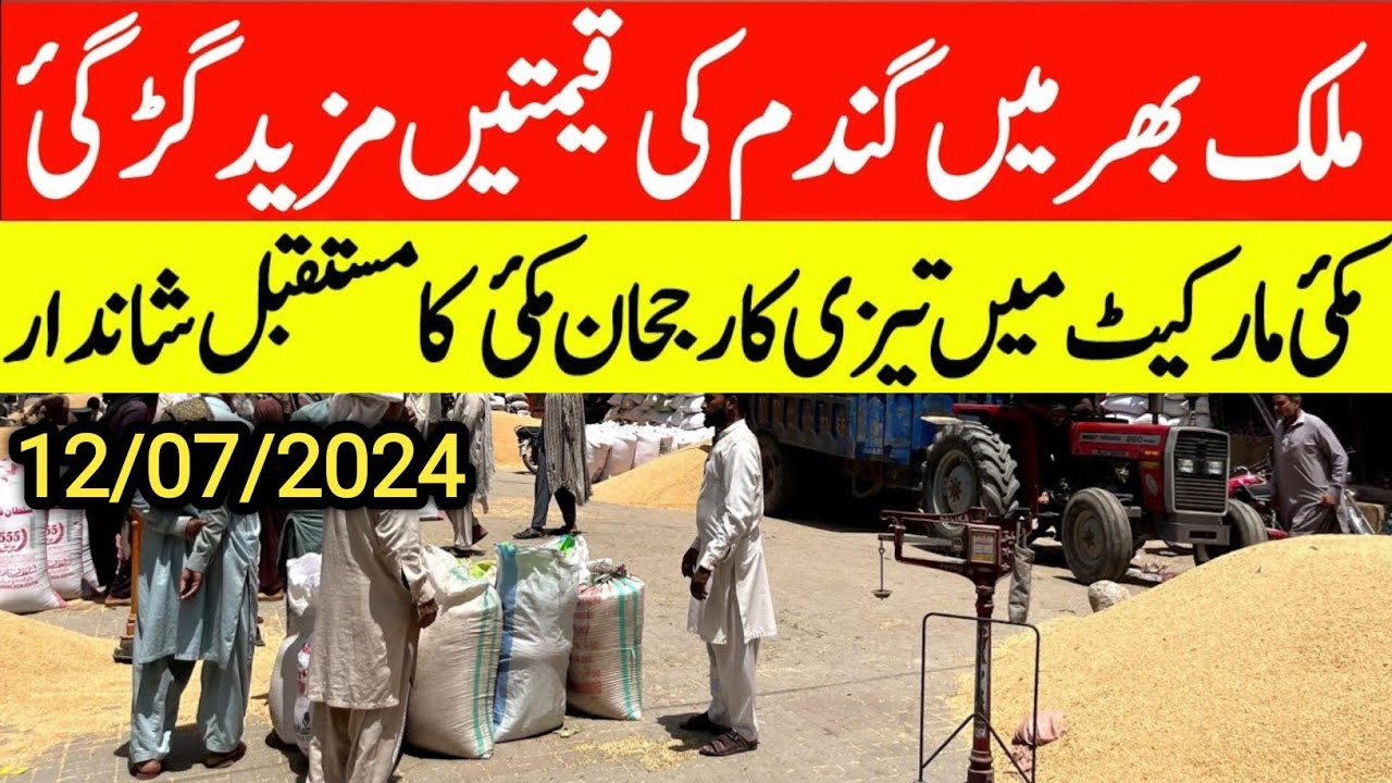 today wheat price/new gandam rate today/wheat price today in punjab ...