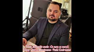 Video thumbnail of "Mihai Mădădlin- live- Toate dorurile mele- cover -Ghiță Muntean- Ce naș ce nașă-cover- Puiu Codreanu"