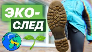 Тест на Экологический След: сколько Земель мне нужно?