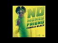 Charly Black No Money Friend Birchill Records Dancehall 2018 mp3