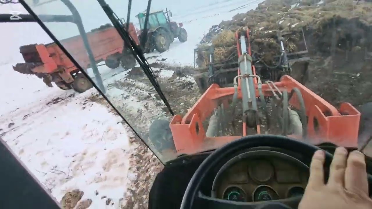 Elakadtam trágya hordás közben