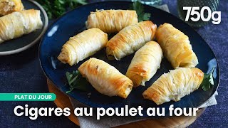 Des cigares salés à la pâte filo croustillants à souhait | 750g