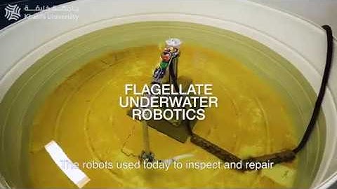 Khalifa University - Flagellate Underwater Robotics