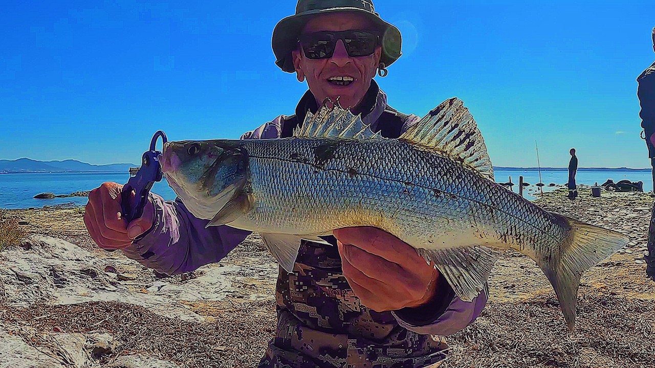 Λαβρακια και καλη παρεα ενα απο τα ομορφα ψαρεματα