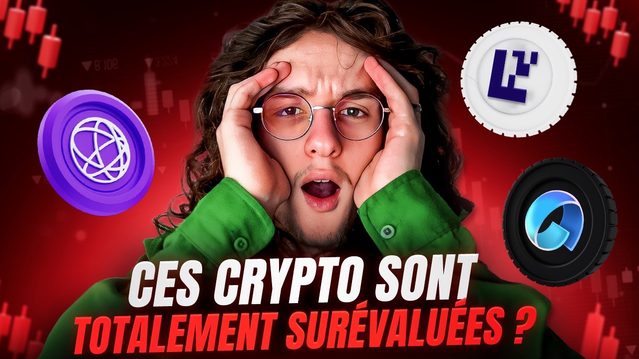 Cette narrative crypto est totalement surévaluée ?