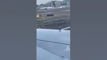 مسافر يوثق لحظة وجود حمامة عنيدة على جناح الطائرة لكنها لم تصمد طويل ا بفعل تيار الهواء 