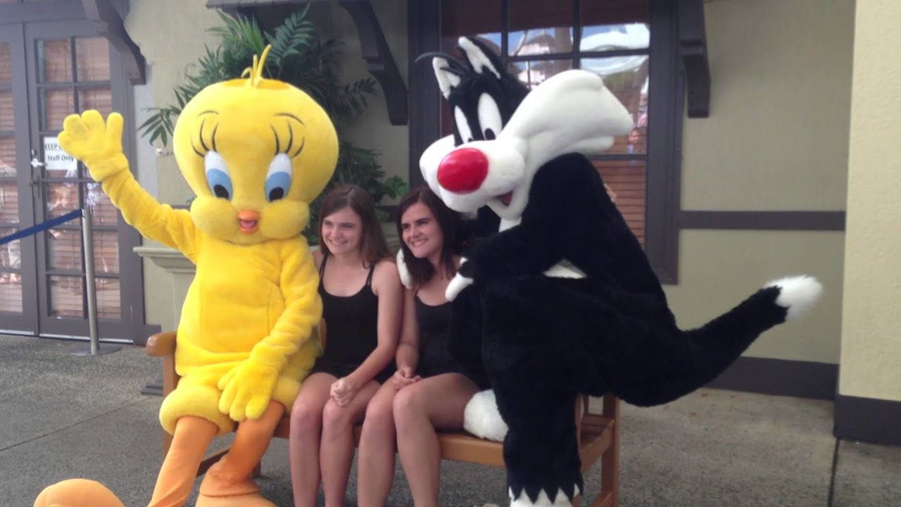 tweety bird and sylvester costume