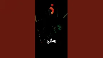 شبه الظبي 