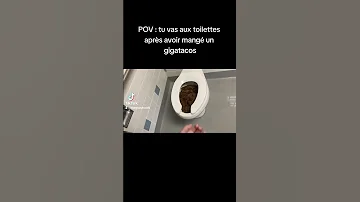 POV Tu Vas Au Toilettes Après Avoir Mangé Un Gigatacos Shorts 