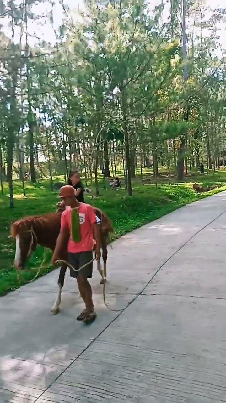 Horseback Riding at Kaamulan Grounds, Malaybalay City, Bukidnon 052124 ...